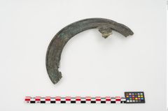 Foto von Bronzephalere (NHMW-PRAE-024394)
